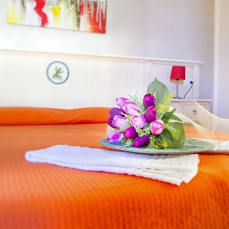 Hotel Ariadimari